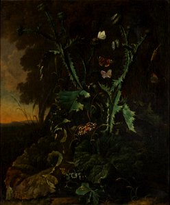 Stilleben med tistlar och fjärilar (Abraham Jansz Begeyn) - Nationalmuseum - 177417