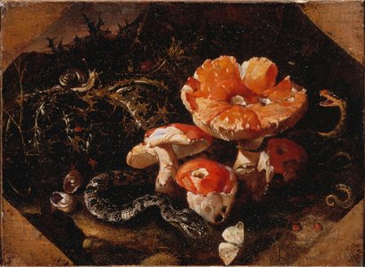 Still Life with Serpents, Fly Agarics and Thistles (Paolo Porpora) - Nationalmuseum - 22322