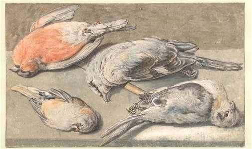 Stilleven van vier dode vogels
