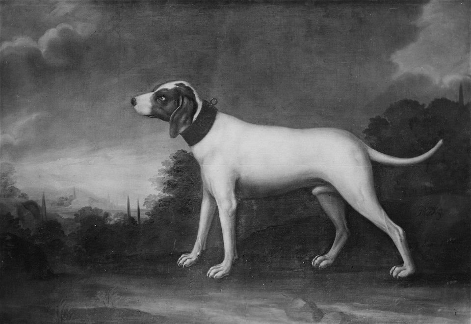 Stor vit hund (David Kock) - Nationalmuseum - 15877