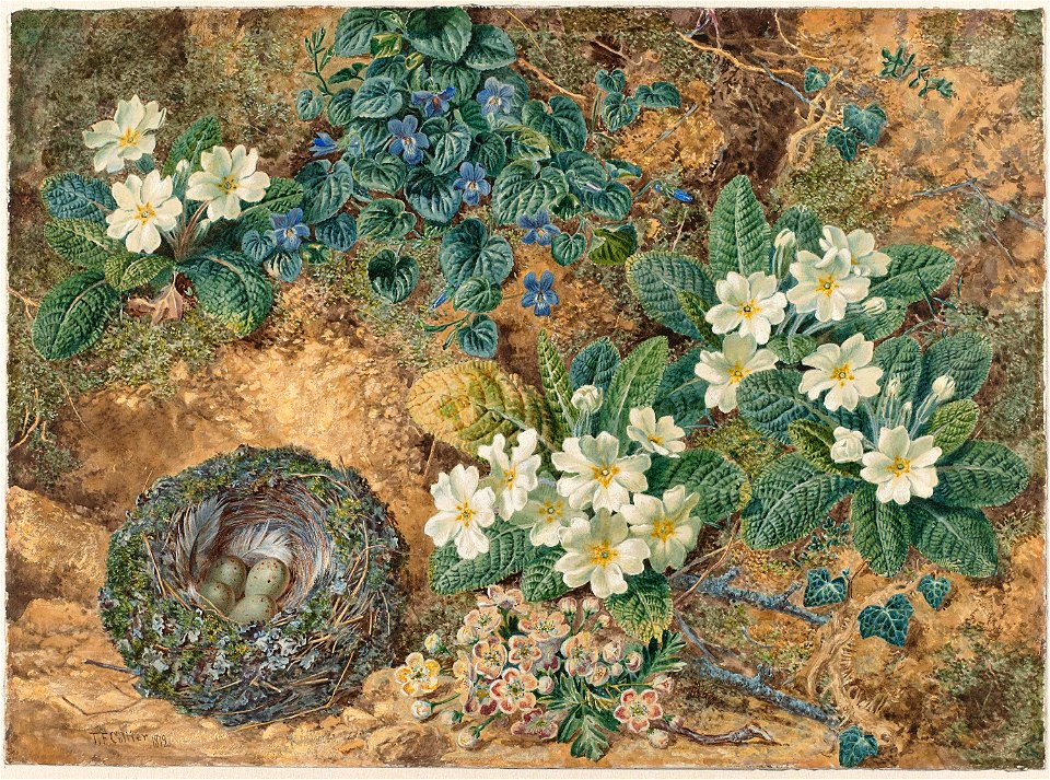 Stilleven van een vogelnestje, viooltjes, primula's en appelbloesem