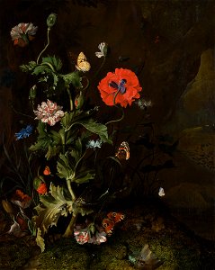 Still life of a thistle between carnations and cornflowers on a mossy forest floor, with butterflies and a cricket