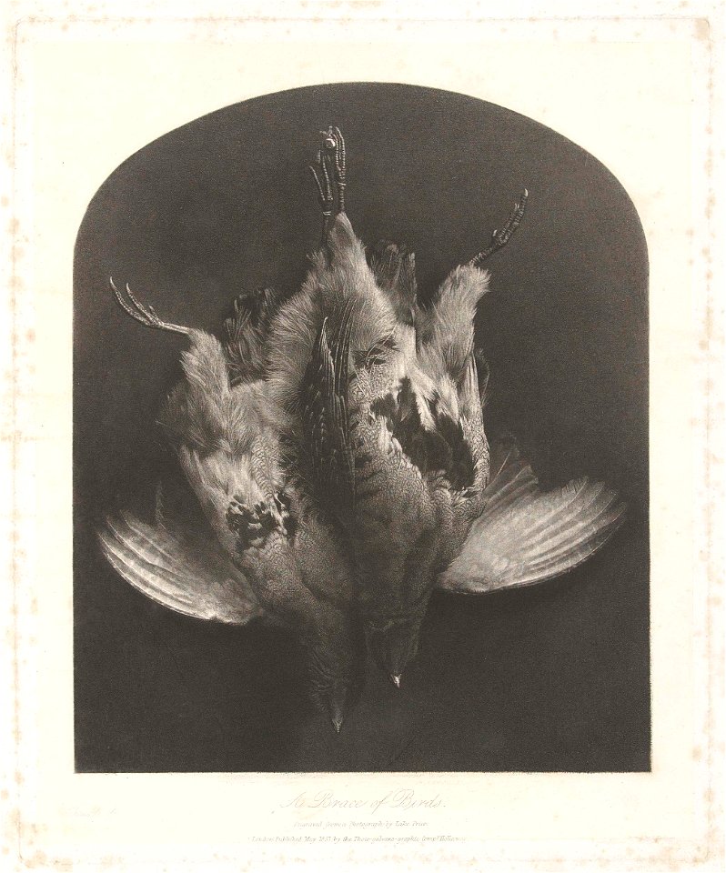 Stilleven met gevogelte