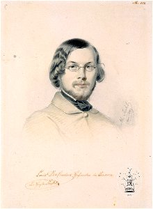 Michael Stohl - Bildnis des Ludwig Des Coudres