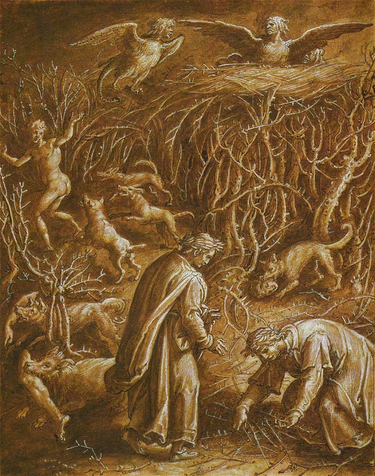 Stradano Inferno Canto 13