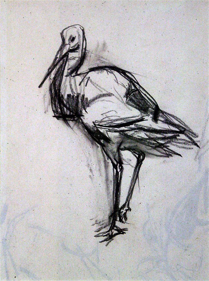 Stork (drawing)