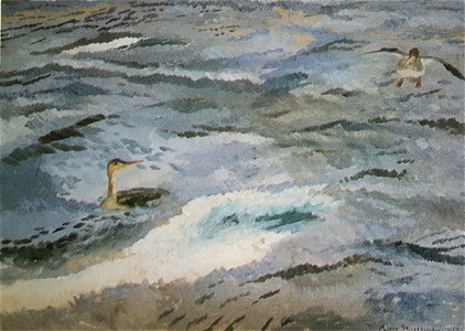 Storskrak i hög sjö x Mosse Stoopendaal