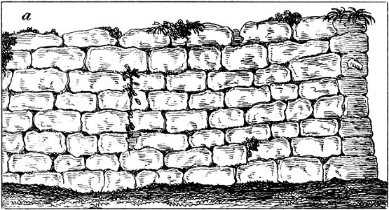 Storia degli antichi popoli italiani - Vol. I p 425c