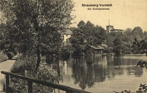 Strausberg, Brandenburg - Schwanensee (2) (Zeno Ansichtskarten)