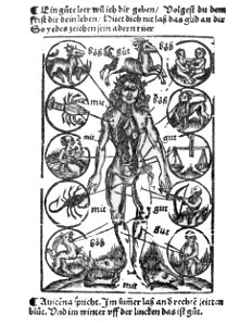 Straßburg 1518 skaliert a
