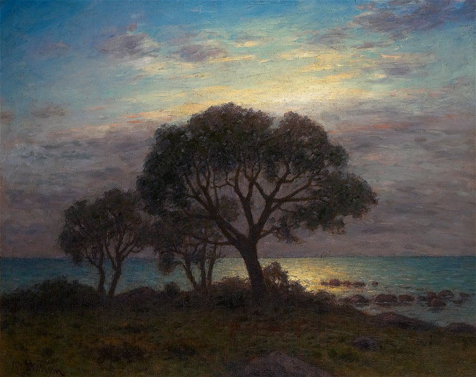 Strandvy i kvällsljus