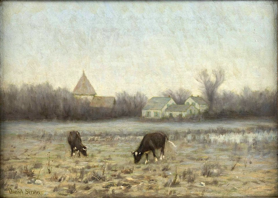 Grazing Cows by Daniel Strain
