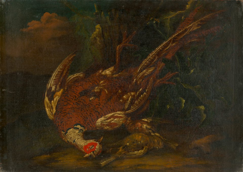 Stredoeurópsky maliar z 1. polovice 18. storočia - Still Life with Guinea Fowl - O 1808 - Slovak National Gallery