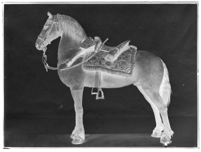 Streiff - Livrustkammaren - 51506-negative