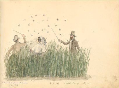 Stredoeurópsky maliar z 19. storočia - Album kresieb z 1847 - 1849 - K 6079-12 - Slovak National Gallery