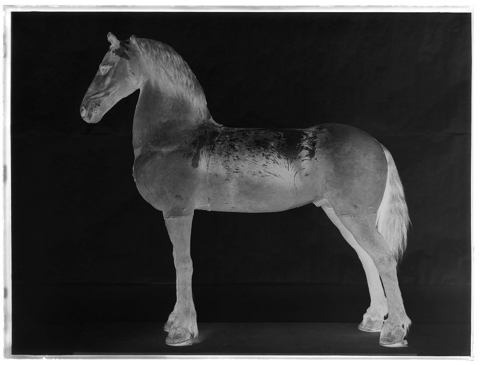 Streif - Livrustkammaren - 17264-negative