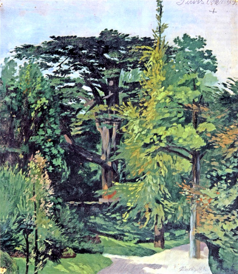 Stroeher-1899-zedern-paris
