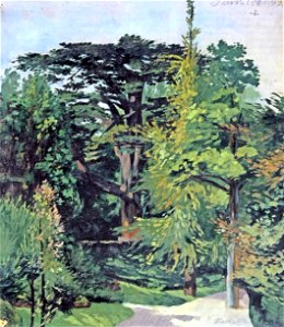 Stroeher-1899-zedern-paris