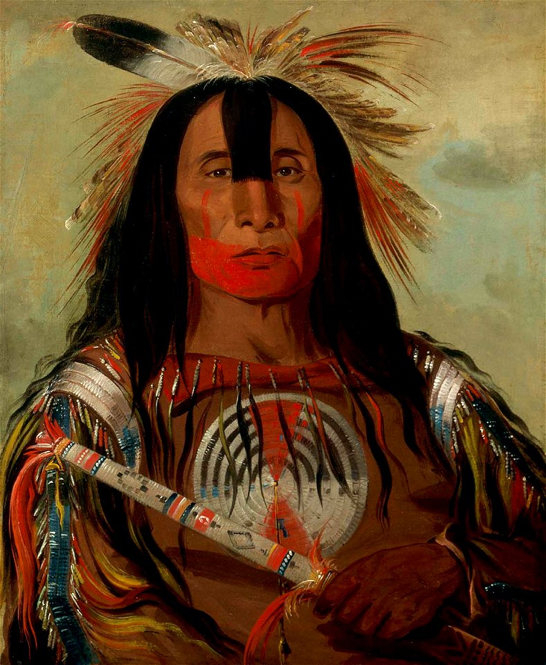 Stu-mick-o-súcks, Buffalo Bull's Back Fat, Head Chief, Blood Tribe