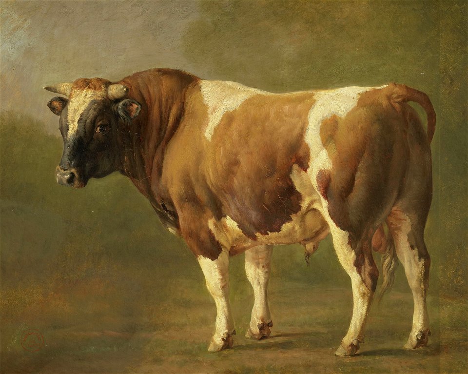 Studie van een stier Rijksmuseum SK-A-1326