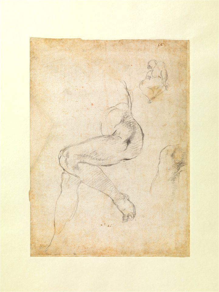 Studies for the Libyan Sibyl DP283246