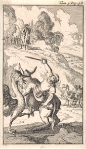 Strijd van Sancho met een struisvogel