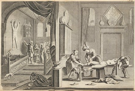 Struys - 1746 - Drie aanmerkelyke reizen - UB Radboud Uni Nijmegen - 241737028 329