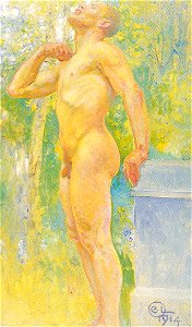 Studie för kung Domalde (1914), nr 240