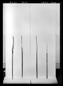 Stridslie, Sverige, 1700-tal. Använd vid Stora daldansen 1743 - Livrustkammaren - 77572