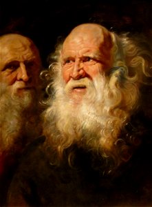 Study Heads of an Old Man by Peter Paul Rubens, c. 1612, Dayton. Free illustration for personal and commercial use.