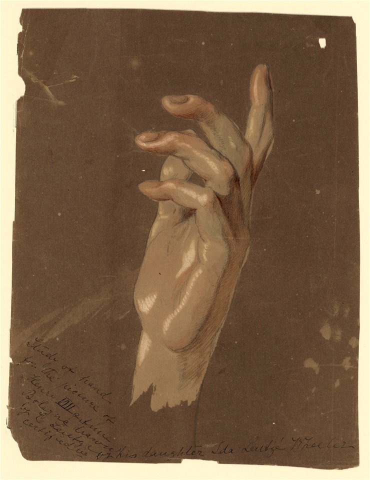 Study of hand LCCN2004661972