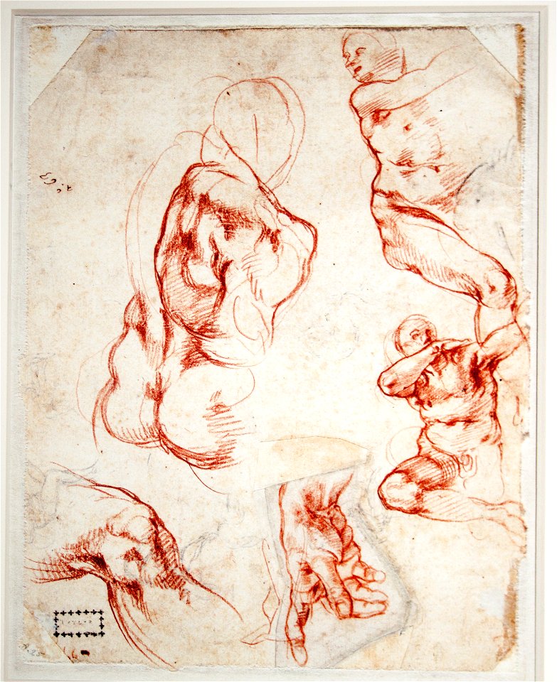 Study for the hand of God