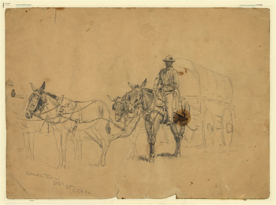 Study of a mule team and wagon, with driver LCCN2004661595