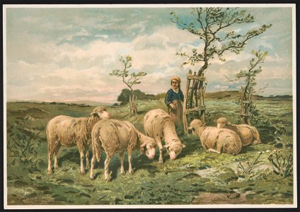 Study of sheep - F. Brissot ; Brissot. LCCN2016652362