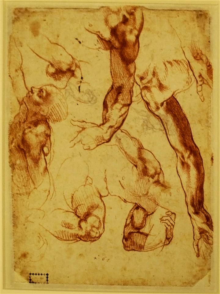 Studies for God, Angels