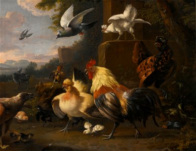 Studio of Melchior de Hondecoeter An Eagle, a Cockerell, Hens, a Pigeon In Flight and Other Birds. Free illustration for personal and commercial use.