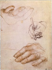 Studies of the Hands of Erasmus, by Hans Holbein the Younger