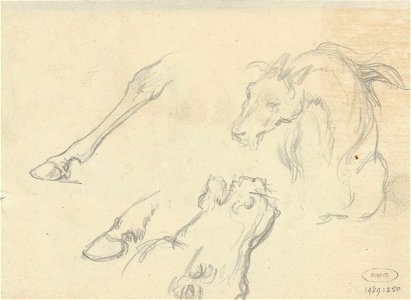Studies van dierenkoppen en poten, Raden Sarief Bastaman Saleh, 1824 - 1880 - Rijksmuseum