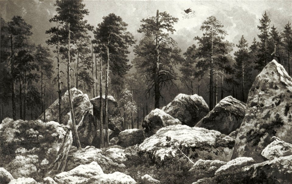 Study of a Forest at Hogdal (August Winqvist) - Nationalmuseum - 20772