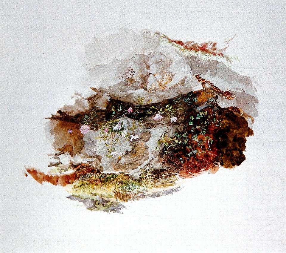 Study of Foreground Material