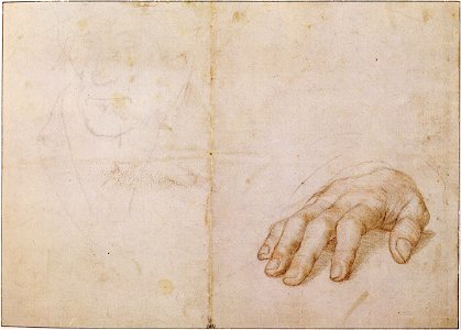 Study of right hand of Erasmus, with sketch of face, by Hans Holbein the Younger. Free illustration for personal and commercial use.
