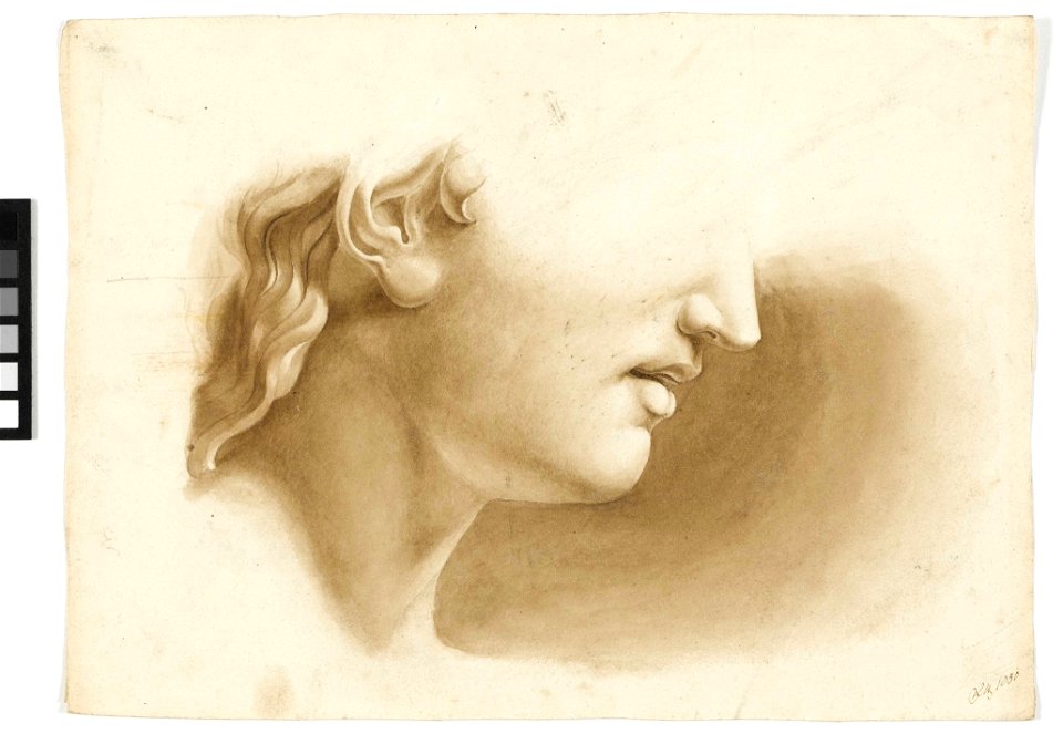 Study of the lower part of a the face of a statue RMG PY5995