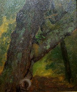 Study of a Tree 1864 Albert Bierstadt