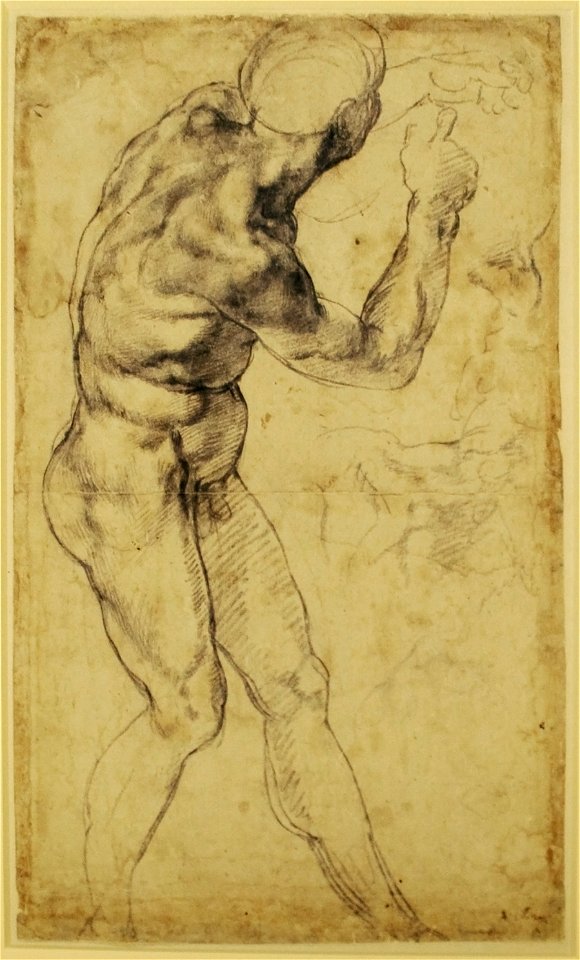 Study of a male nude, turning to the right