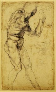 Study of a male nude, turning to the right
