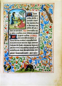 Stundenbuch der Maria von Burgund Wien cod. 1857 Heilige Maria Magdalena