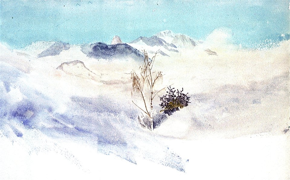 Study of snow-capped mountains, with detail of a tree and other flora in foreground RMG PU9810