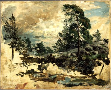 Study of Terrain (Kilian Zoll) - Nationalmuseum - 20934