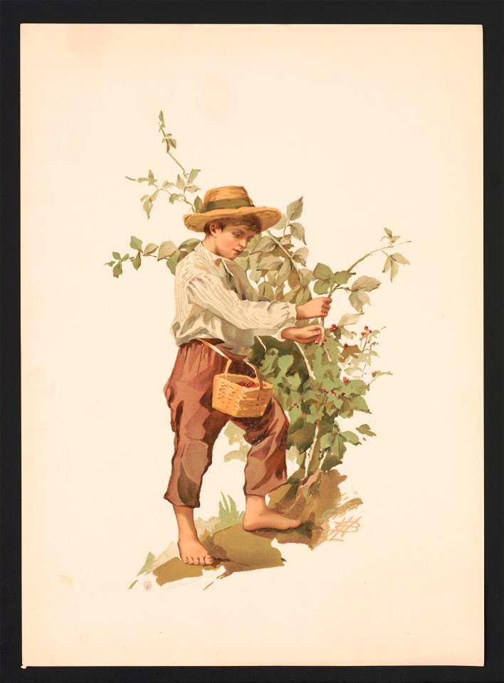 Study. Barefoot boy picking berries - LBH (monogram) ; after Miss L.B. Humphrey. LCCN2017650203