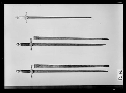 Stånddrabantvärja, fäste Sverige ca 1800, klinga m: 1685 - Livrustkammaren - 17895